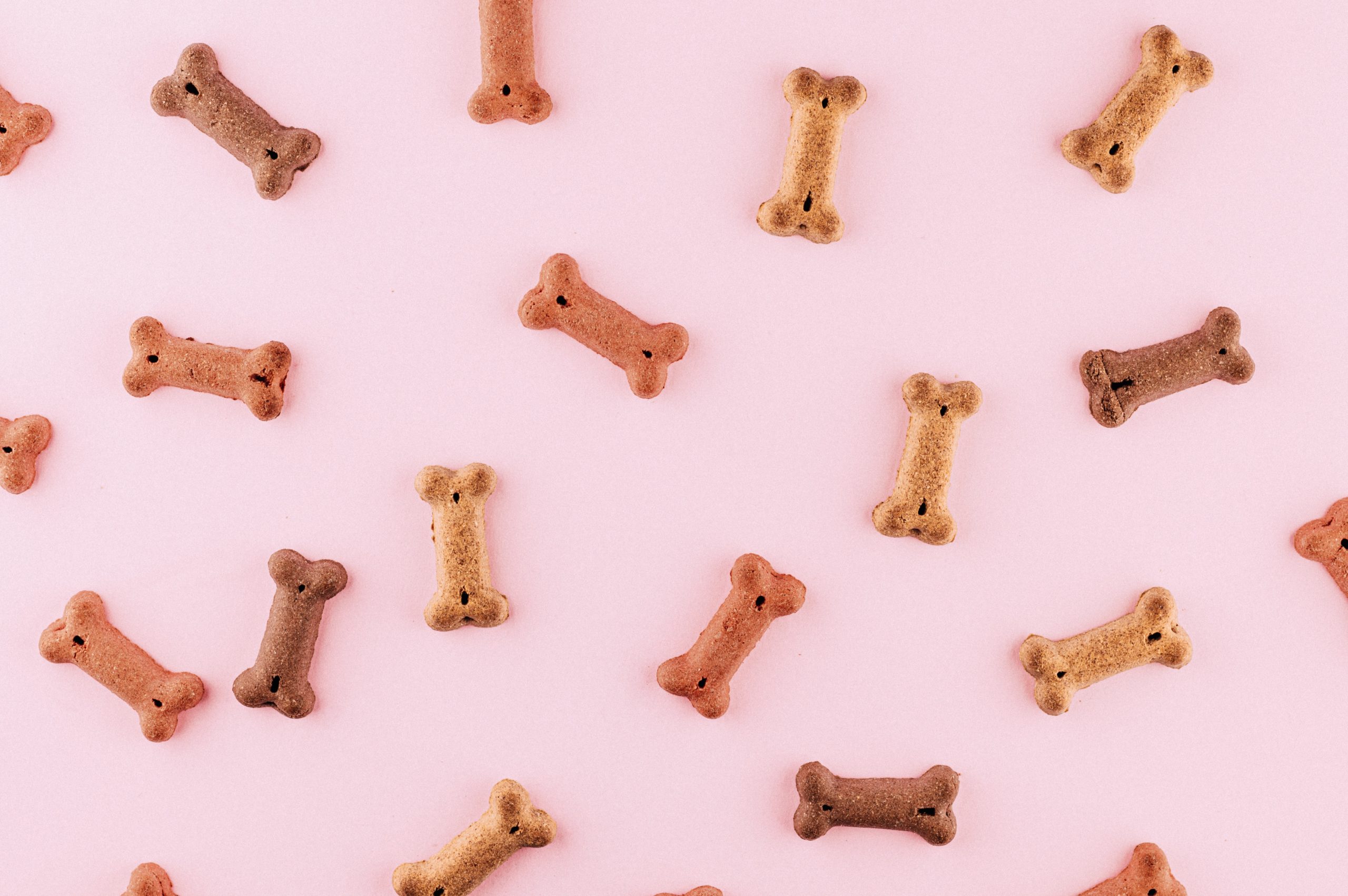 Pet food