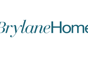 Unveiling the World of Comfort and Style: A Comprehensive Review of BrylaneHome BrylaneHome