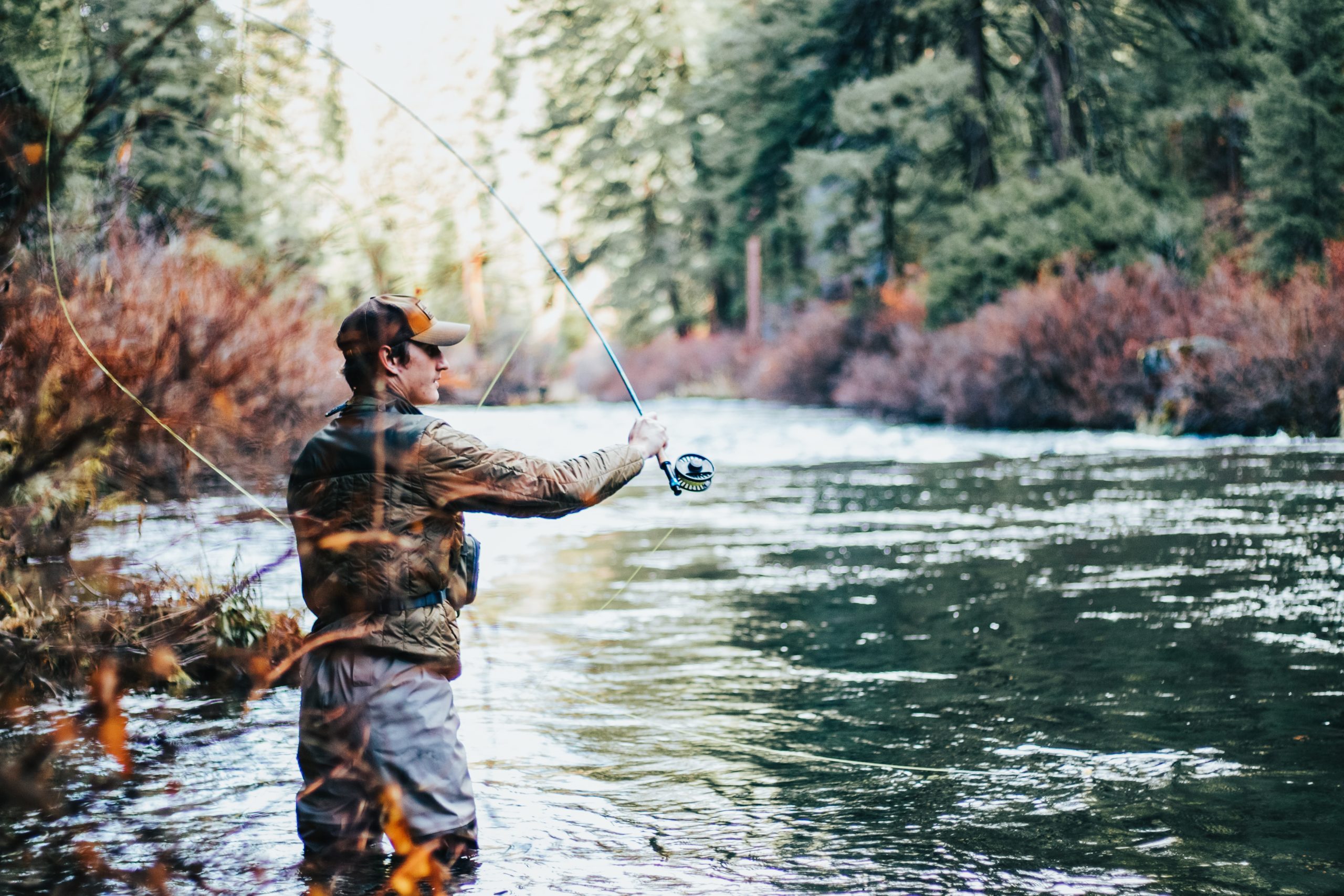 Orvis