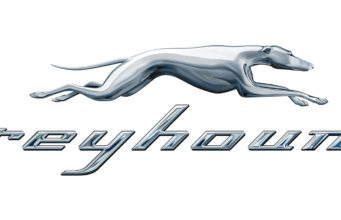 Navigating Your Journey with Greyhound: A Comprehensive Review of Greyhound.com GreyHound