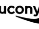 Saucony Argentina Website Review: Your Ultimate Shopping Destination for Athletic Gear Saucony
