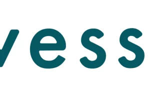 Unveiling the Footwear Revolution: A Comprehensive Review of Vessi.com Vessi