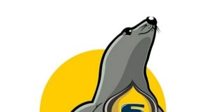 Seal Skin Covers: Your Ultimate Source for Premium Vehicle Protection