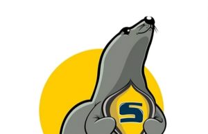 Seal Skin Covers: Your Ultimate Source for Premium Vehicle Protection