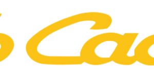 Unveiling the Power of Cub Cadet: A comprehensive review