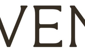 Exploring the design wonderland: A complete review of Havenly.com