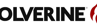 Discovering the Wolverine Experience: A complete review of Wolverine.com