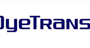 Unveiling the canvas: A comprehensive review of dyetrans.com