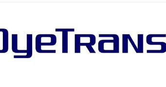 Unveiling the canvas: A comprehensive review of dyetrans.com