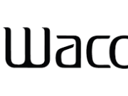 Review of Wacoal America: A trustworthy choice in Lingerie