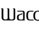 Review of Wacoal America: A trustworthy choice in Lingerie