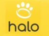 Discovering the Halo Collar’s website: A dog owner’s perspective