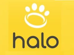 Discovering the Halo Collar’s website: A dog owner’s perspective