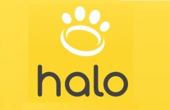 Discovering the Halo Collar’s website: A dog owner’s perspective