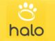 Discovering the Halo Collar’s website: A dog owner’s perspective
