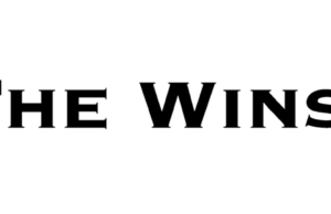 The Winston Box: A comprehensive review