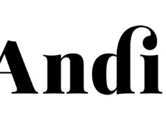 Review of Andie Swim: Quality swimwear designed for women