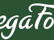 MegaFood.com: A comprehensive review of the premier source for whole food supplements