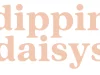 Why Dippin’ Daisy’s Should Be Your Go-To Swimwear Destination: A Comprehensive Review