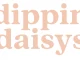 Why Dippin’ Daisy’s Should Be Your Go-To Swimwear Destination: A Comprehensive Review