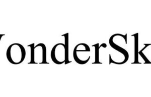 Discover the world of Wonderskin.com: A comprehensive review