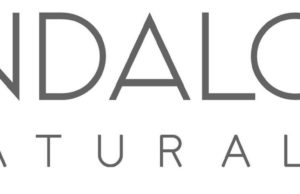 Discover the natural beauty revolution: A deep dive into Andalou.com