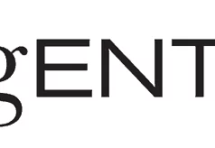 Argentum: Elevating Luxury with Timeless Silver Designs