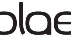 Is Plae.co the best choice for stylish, functional footwear? A comprehensive review
