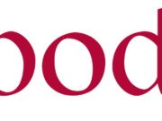 Spode.com: A Detailed Review for Discerning Shoppers