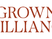 Unveiling the brilliance: A comprehensive Review of Grownbrilliance.com