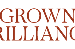 Unveiling the brilliance: A comprehensive Review of Grownbrilliance.com