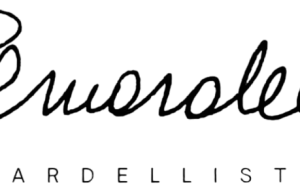 Discovering the Elegance of Bernardelli Stores: A Comprehensive Review