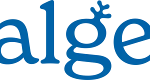 Calgee Review: A Sustainable and Ethical Approach to Omega-3 Supplements