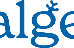 Calgee Review: A Sustainable and Ethical Approach to Omega-3 Supplements