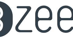 Step into comfort: A detailed review of Zees.com
