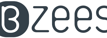 Step into comfort: A detailed review of Zees.com