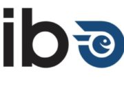 Exploring Hiboy.com: Is this your go-to destination for E-Scooters and E-Bikes?