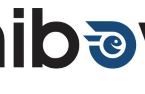 Exploring Hiboy.com: Is this your go-to destination for E-Scooters and E-Bikes?