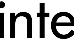 Why Minted.com stands out in the world of custom art and stationery: A comprehensive review