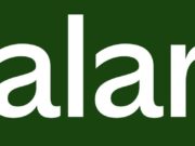 The Halara.com: A comprehensive review of fashion, trust, and value