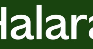 The Halara.com: A comprehensive review of fashion, trust, and value