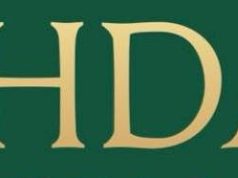 Vahdam Teas Review: A Sip of Trustworthy Luxury