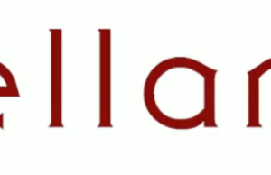 Elevate your home comfort with Mellanni: A detailed review of Mellanni.com