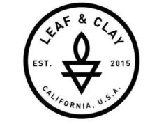 Leaf&Clay.com review: Your ultimate guide to trustworthy and stylish succulent shopping