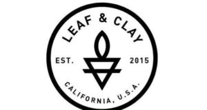 Leaf&Clay.com review: Your ultimate guide to trustworthy and stylish succulent shopping