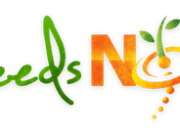 SeedsNow.com review: Is this the right choice for your gardening needs?