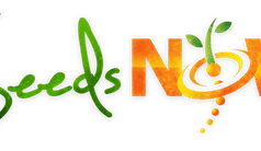 SeedsNow.com review: Is this the right choice for your gardening needs?