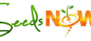 SeedsNow.com review: Is this the right choice for your gardening needs?
