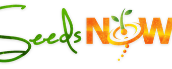 SeedsNow.com review: Is this the right choice for your gardening needs?