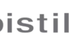 Discover the Art of accessorizing: A comprehensive review of PistilDesigns.com